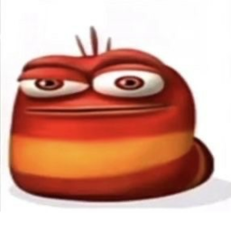 oi oi oi