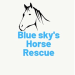 blue skys horse rescue