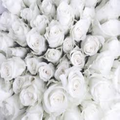 white aesthetic Roblox decal