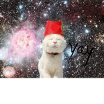 The spacecats group