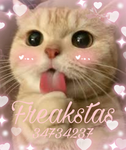 Freakstas
