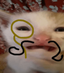 gigglebush