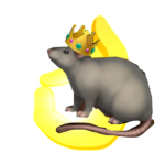 The rat Queen’s
