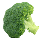 plant prevent