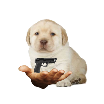 ¿QUIERES UNA BERETTA?