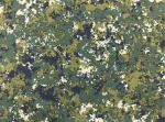 維托國軍