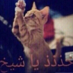 7lo