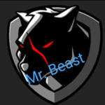 Mr. Beast Fan Squad