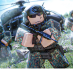 New Zealand Defense Force.
