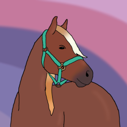 Equestrian Life