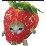 Team_Strawberries 4life!!!