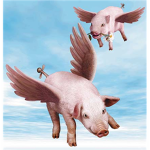 pigs fly group