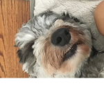 ROXY FAN GROUP!