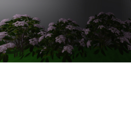 game test
