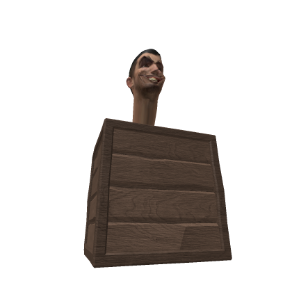skibidi box