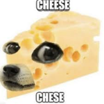 CheeseDog