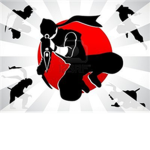 Red Ninja Group