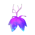 Enchantia Blossom