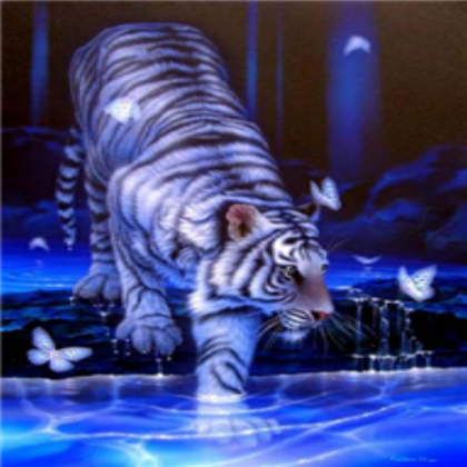 white tiger Roblox decal