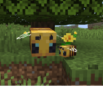 Honey bee girl