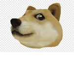 - The Doge Crew -