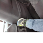 Gavin poops