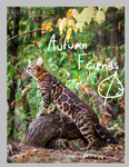 Autumn Friends! (made by a therian/furry!!)