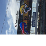 NFL BUFFALO BILLS
