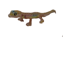 Find The Geckos (47)