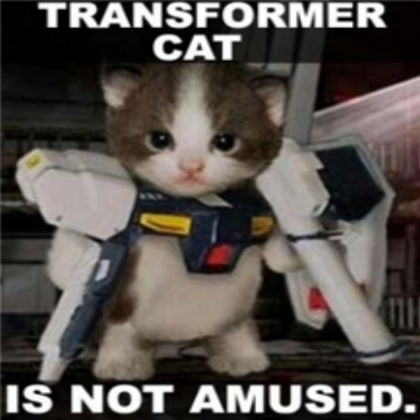 Transformer Cat Roblox decal
