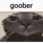 giggle goobers