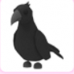 Adopt me Bird squad