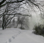 emptyroads