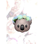 MunchkinxKoala Group