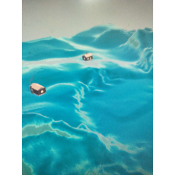 SEA LAND