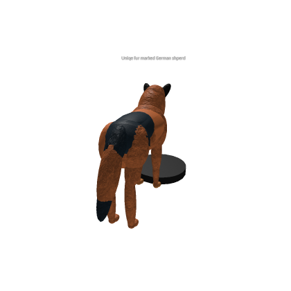 German sheperd