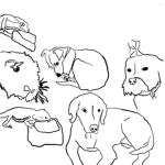 { Windy Wilds Rescue Sanctuary }