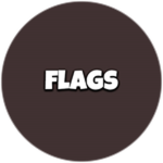 Guess The Flags