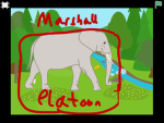 The Marshall platoon