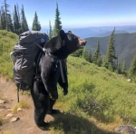 Agawa Outfitters