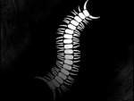 蠕虫 Worm 虫