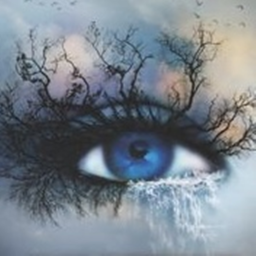 𝑓𝑒𝑎𝑟