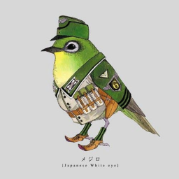 Bird army training