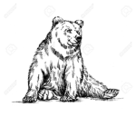 Wild Bear Army