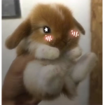 <3Bunny’s clothing store<3