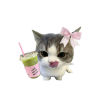 Meowyyy