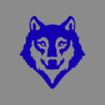 Blue Husky Studio