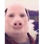 sosig e