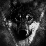 WolfieSniper's Wolf Pack