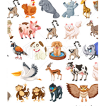 ANIMAL TIME FOR ANY :)